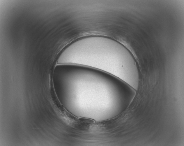 X0000063490109200601201101