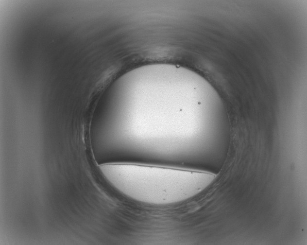 X0000063490115200601201101