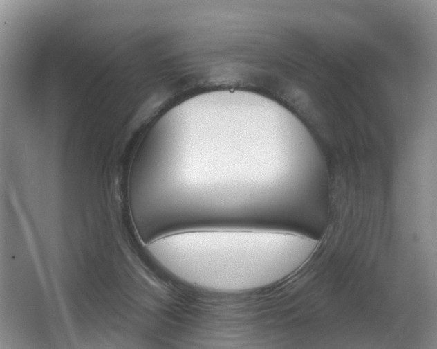 X0000063490116200601201101
