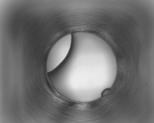 X0000063490118200601201101