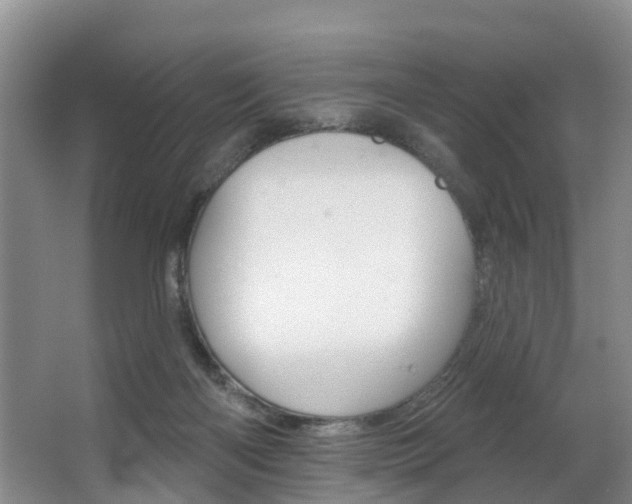 X0000063490122200601201101