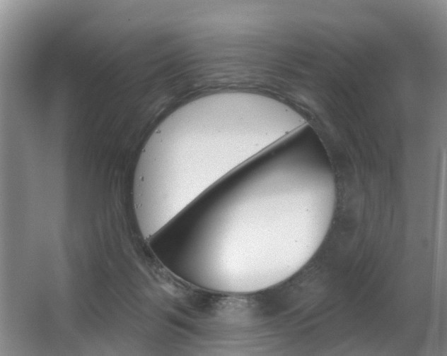 X0000063490123200601201101