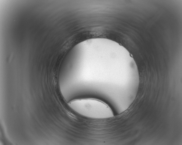 X0000063490136200601201101