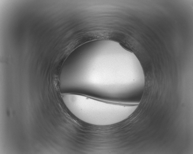 X0000063490141200601201101