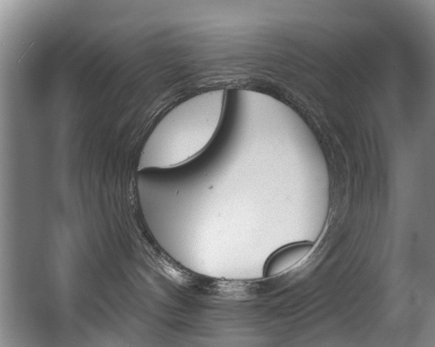 X0000063490144200601201101