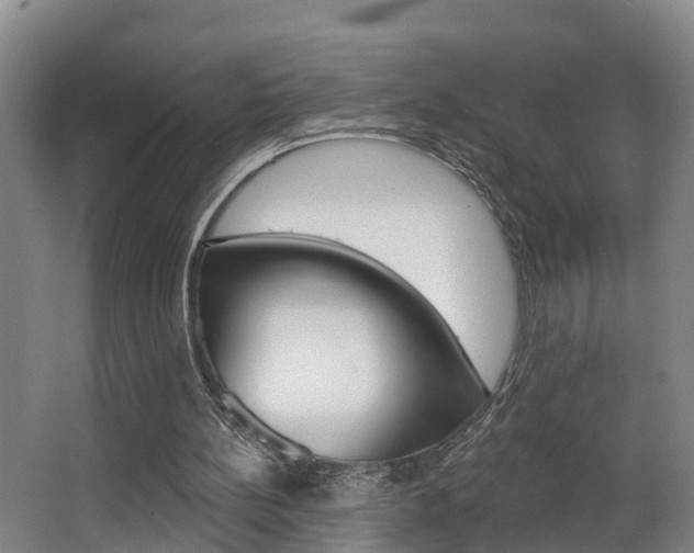 X0000063490148200601201100