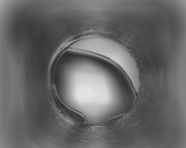 X0000063490150200601201100