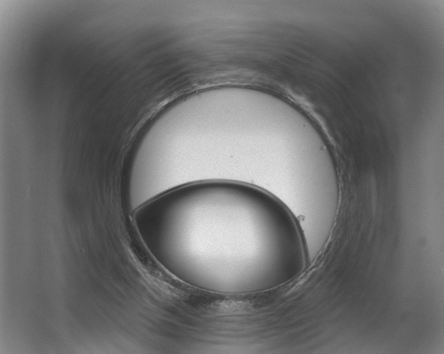 X0000063490154200601201100