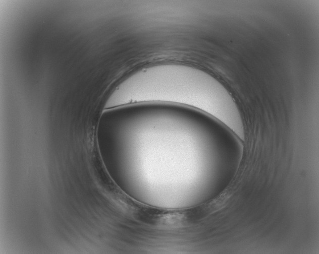 X0000063490168200601201100