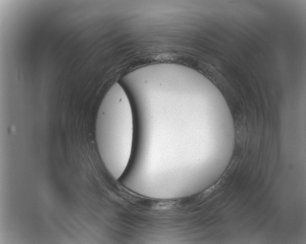 X0000063490175200601201100