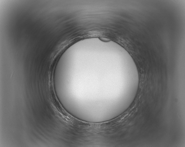 X0000063490194200601201100