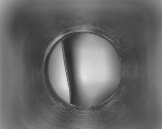 X0000063490200200601201100