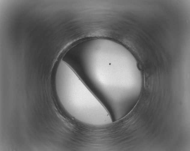 X0000063490204200601201100