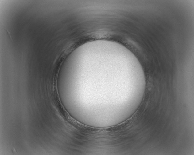 X0000063490210200601201059