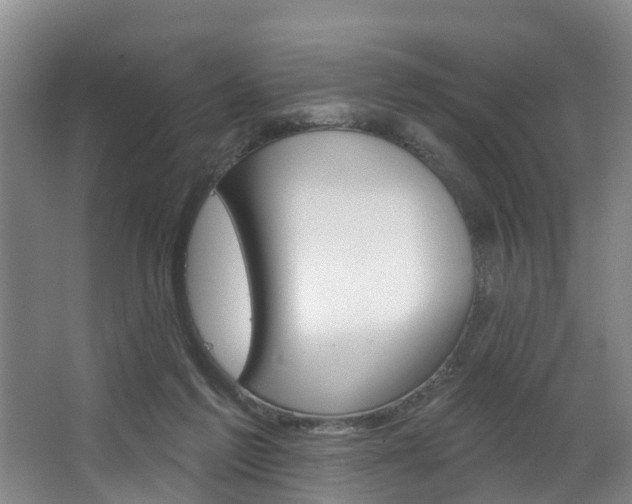 X0000063490213200601201059