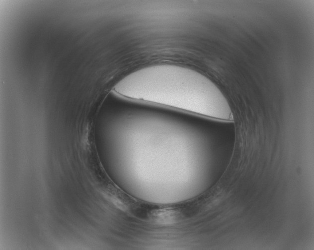 X0000063490219200601201059