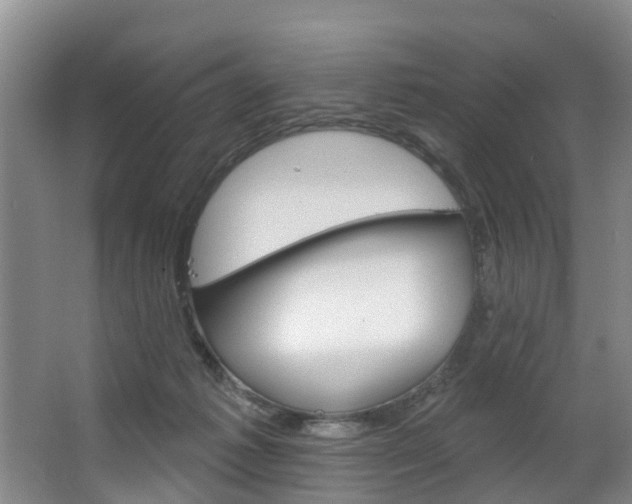 X0000063490221200601201059