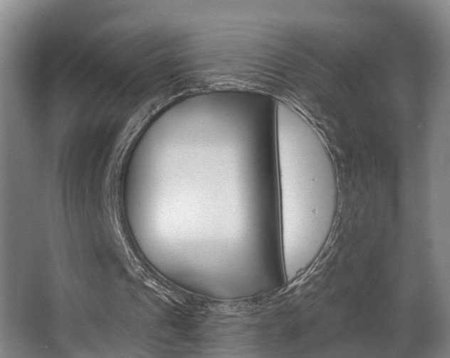 X0000063490241200601201058