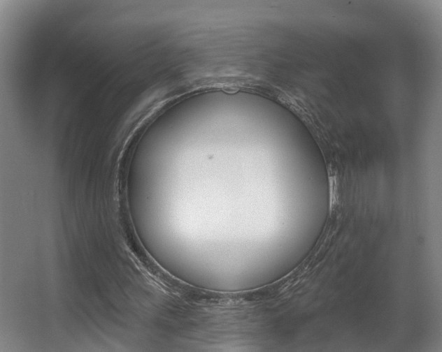 X0000063490243200601201058