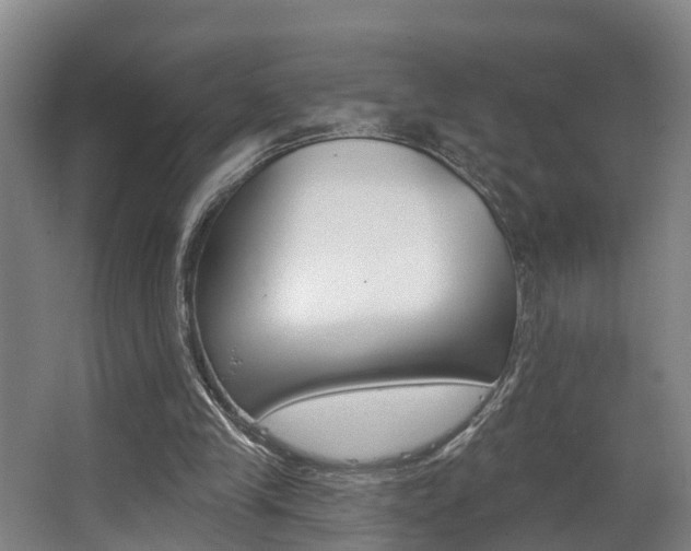 X0000063490245200601201058