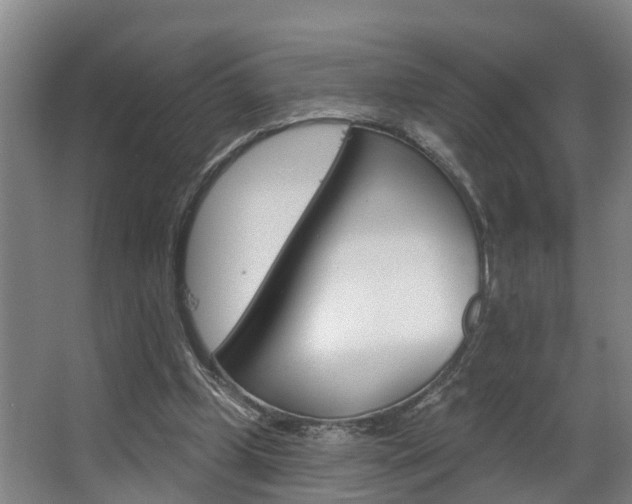 X0000063490249200601201058