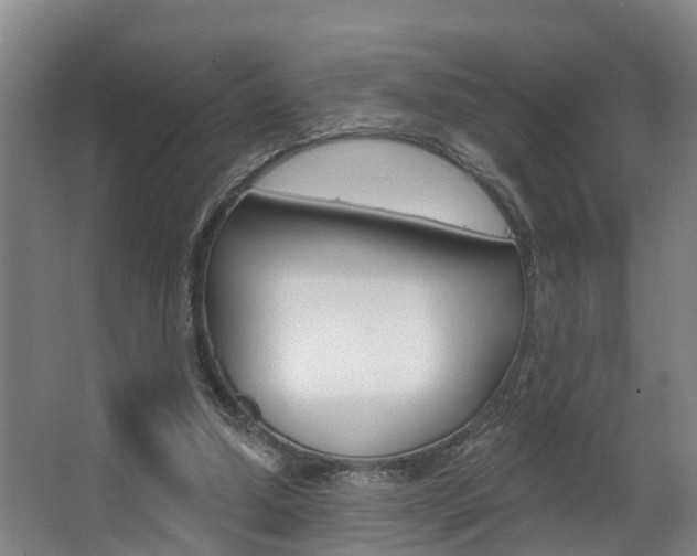 X0000063490250200601201058