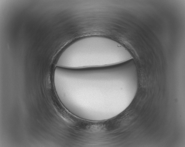 X0000063490251200601201058