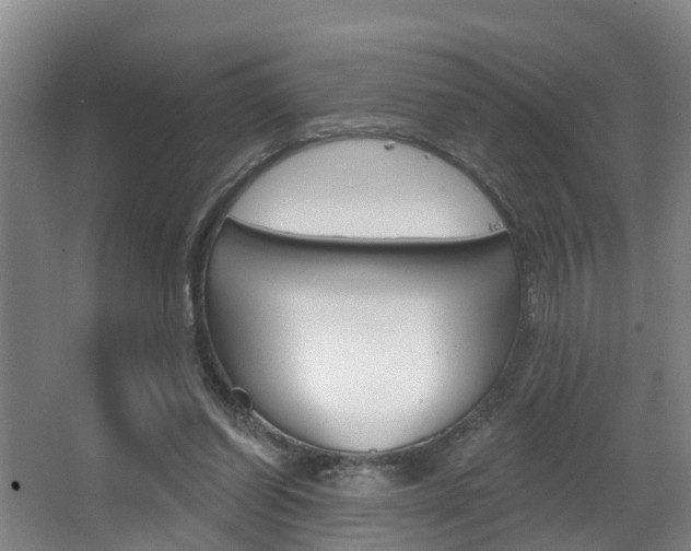 X0000063490254200601201058