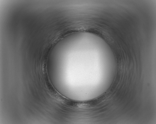 X0000063490268200601201059