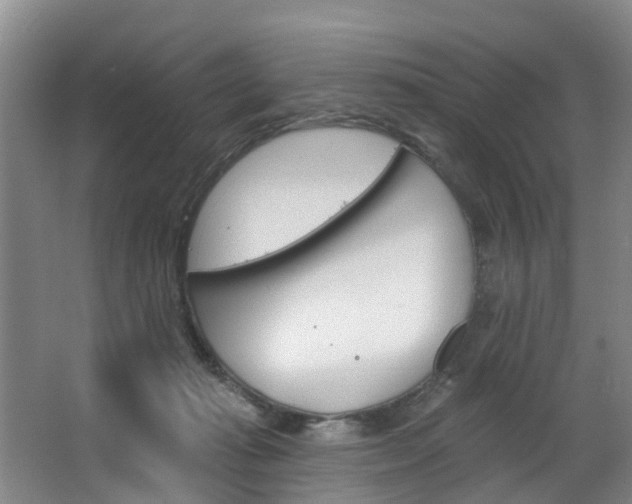 X0000063490269200601201059