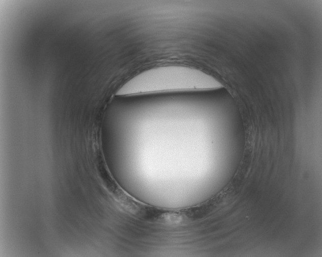 X0000063490272200601201059