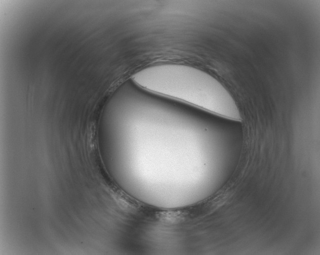 X0000063490273200601201059