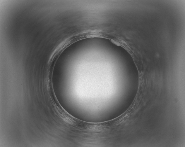 X0000063490293200601201058