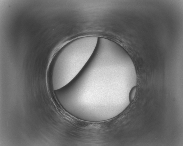 X0000063490294200601201058