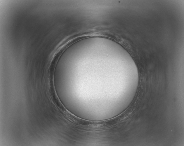 X0000063490295200601201058