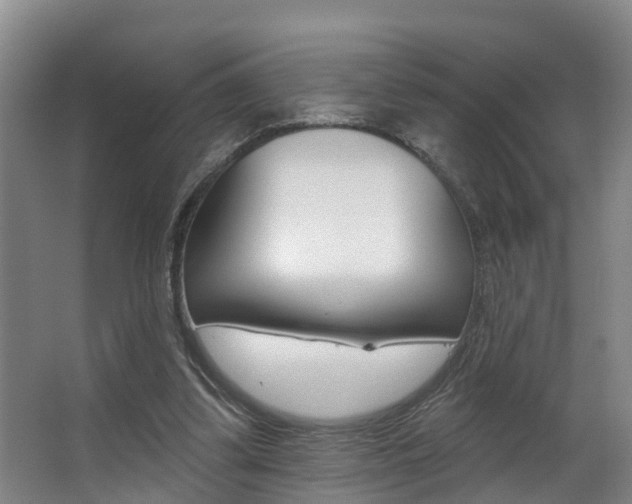 X0000063490299200601201058
