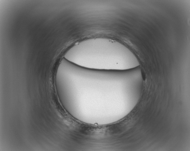 X0000063490306200601201058