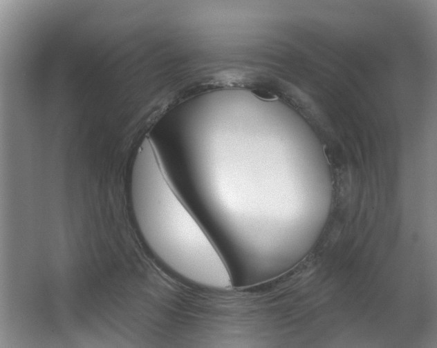 X0000063490313200601201058