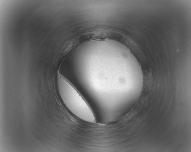 X0000063490333200601201057