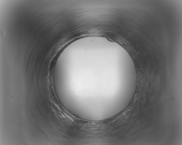 X0000063490338200601201056