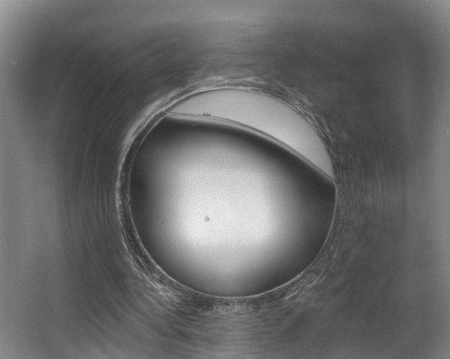 X0000063490340200601201057