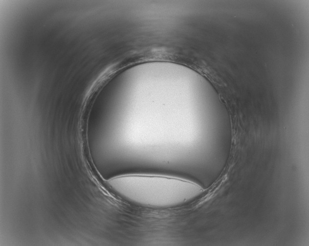 X0000063490341200601201057