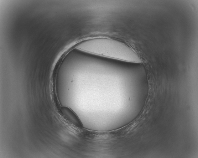 X0000063490342200601201057