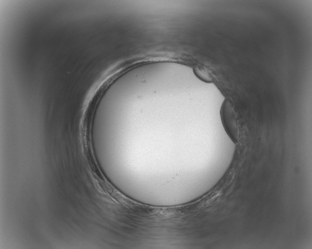 X0000063490343200601201057