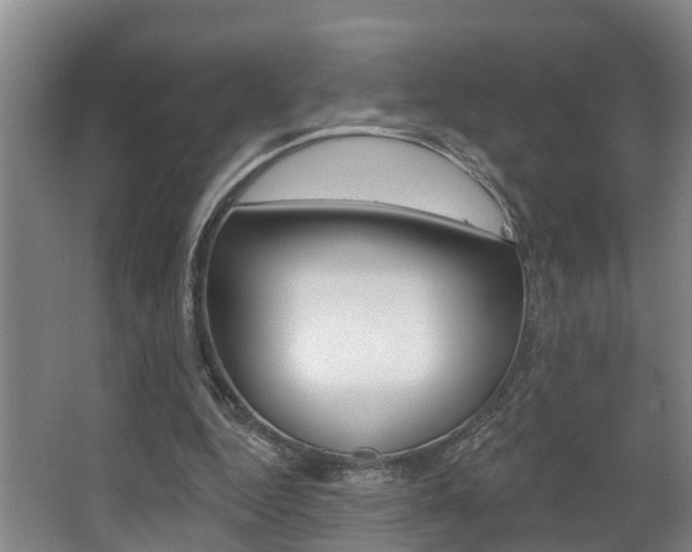 X0000063490344200601201057