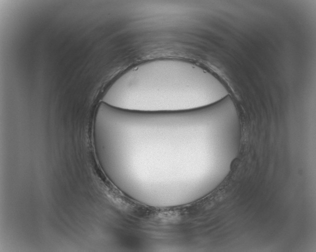 X0000063490353200601201057