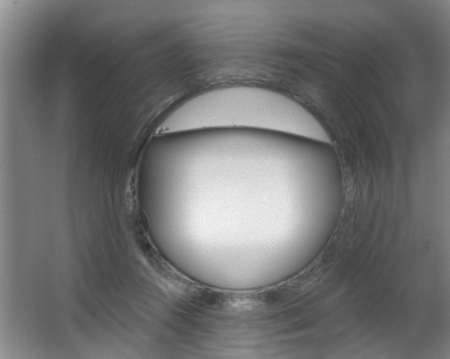 X0000063490360200601201057