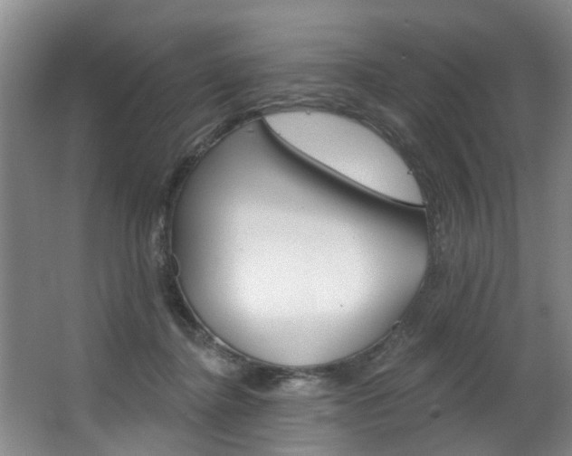 X0000063490364200601201057