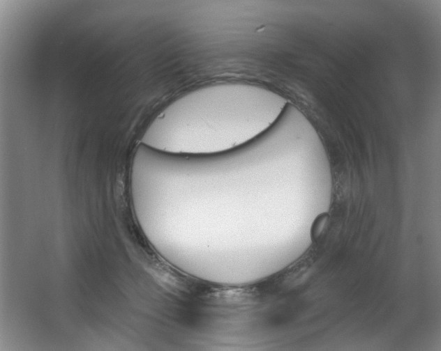 X0000063490365200601201057