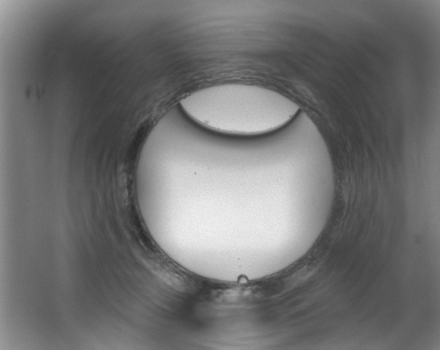 X0000063490366200601201057
